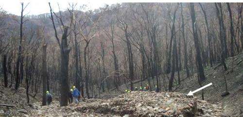 Forest soil erosion in the wake of major bushfires