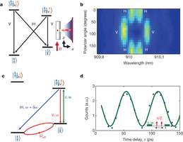 Researchers entangle a single electron spin to a single photon in a quantum dot