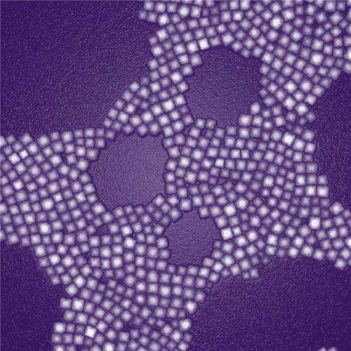 Nanoparticles glow through thick layer of tissue