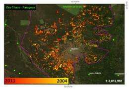 Scientists develop first satellite deforestation tracker for whole of Latin America