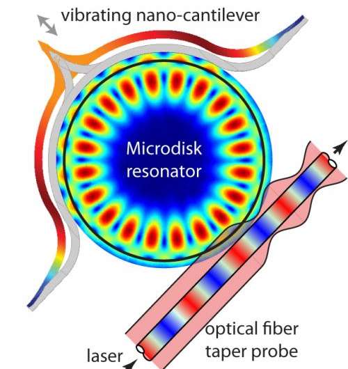 Researchers develop versatile optomechanical sensors for atomic force microscopy