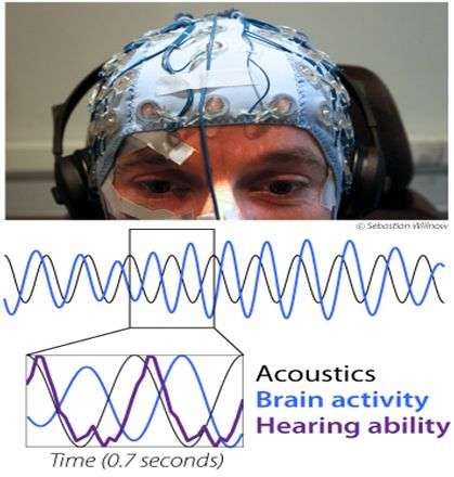 Researchers find that listening abilities depend on rhythms in the brain
