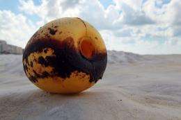 A buoy that washed ashore is seen stained with oil residue from the Deepwater Horizon oil spill in 2010