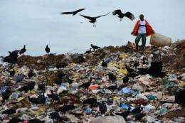 A 'catadore' (scavenger) digs through rubbish at the Jardim Gramacho landfill