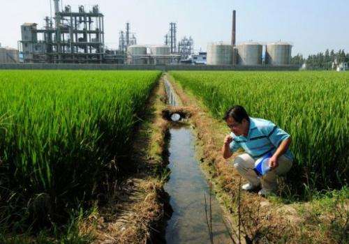 A Chinese environmental activist checks the water quality in an irrigation channel outside a chemical factory