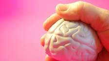 ADHD medicine affects the brain's reward system