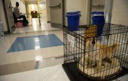 A dog barks as he sits in the hallway of Cape Henlopen High School which is being used as a Red Cross shelter