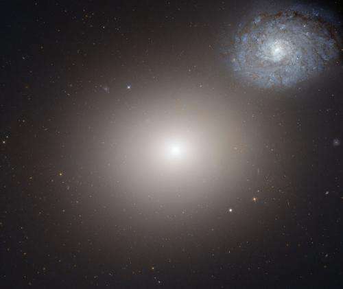 A family portrait of galaxies