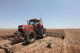 A farmer plows up a field where crops failed because of a severe drought in the region, in Texas in 2011