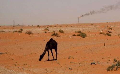 A flame from a Saudi Aramco oil installion is seen in the desert near the oil-rich area of Khouris in 2008