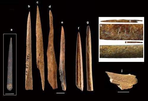 Africa's Homo sapiens were the first techies