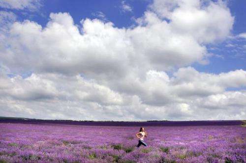 A girl jogs through a lavender field