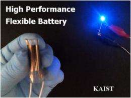 A KAIST research team has developed a high performance flexible solid state battery