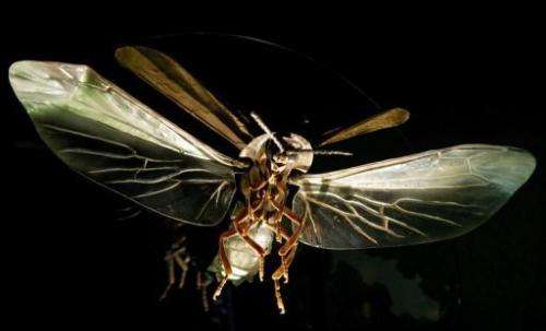 A large scale firefly