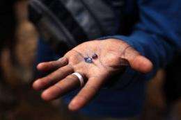 A man holds a sapphire and a ruby in his hand at the sapphire mine