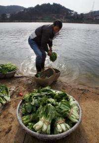 A man washing vegetables in Poyang Lake in 2007