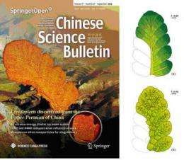 A mysterious seed fern, Lepidopteris, discovered from the Upper Permian of China