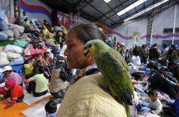 An Amazonic indigenous native woman carryies a parrot on her shoulder
