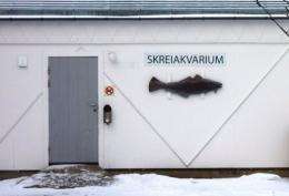 An aquarium for Skrei is seen in Norway's Arctic archipelago Lofoten