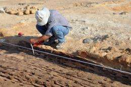 An archaeologist is seen working on the skeleton of a wooden boat at the Abu Rawash