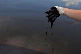 An employee with the governor's office collects oil off of Grand Isle, Louisiana, in 2010