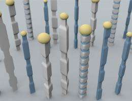 A new twist on nanowires