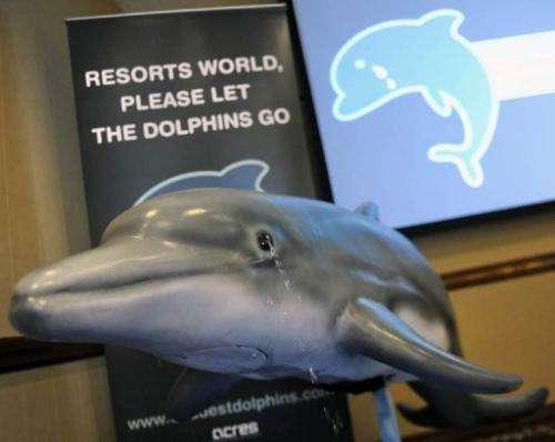 Animal Concerns Research and Education Society is urging a Singapore casino to free 25 dolphins from its marine park