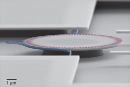 An optical diode made with silicon technology can be used for quantum information
