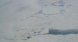 Arctic Ocean could be source of greenhouse gas: study