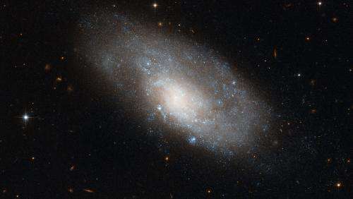A spiral galaxy in hydra