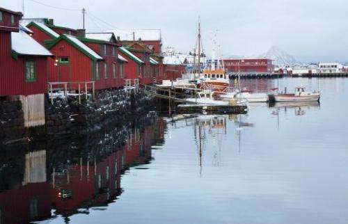 A typical fishing village in Norway's Lofoten islands