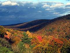 A warm, wet fall would dampen foliage colors