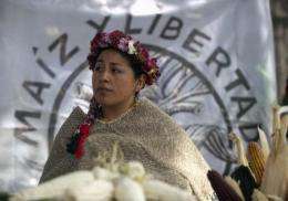 A woman from Xochimilco takes part in the 'National Day of Corn' in Zocalo Square in Mexico City, in 2011