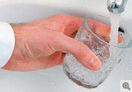Bacteria in tap water can be traced to the water treatment process