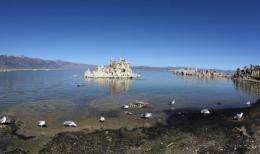 Bacterium found in arsenic-rich Mono Lake was said to redefine the building blocks of life