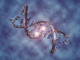 Bioinformatics and epigenetics - computer-aided cancer diagnosis