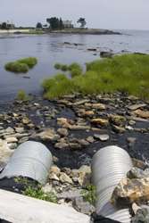 Bioremediation used to alleviate surface water pollution