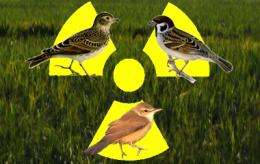 Bird populations near Fukushima are more diminished than expected
