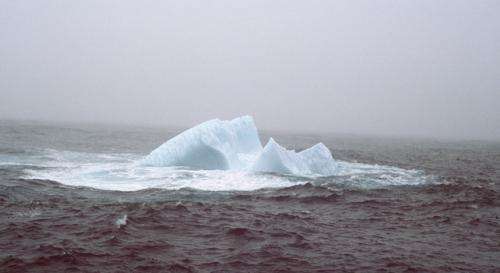 Breaking the ice on icebergs			