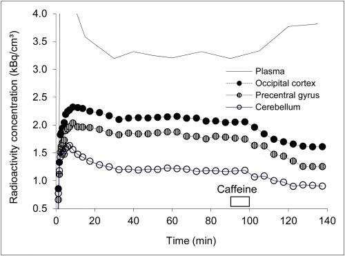 咖啡因对大脑腺苷受体的影响首次显现出来