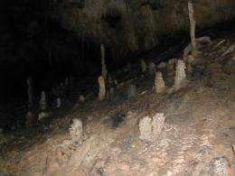 Caltech researchers use stalagmites to study past climate change