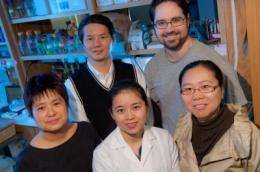 Cancer epigenetics: Breakthrough in ID'ing target genes