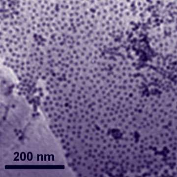 Can cobalt nanoparticles replace platinum?