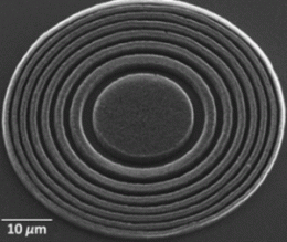 Bright idea: Carbon nanotube Fresnel lenses