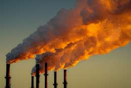 Carbon scheme in danger of going up in smoke