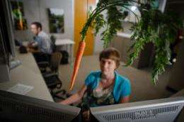 Carrots, not sticks, motivate workers