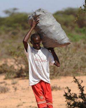 Charcoal is the main source of energy, as electricity is rare and expensive for many in Somalia