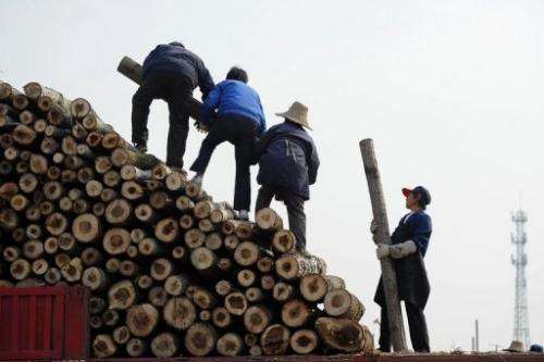 China's demand for foreign wood has tripled since 2000 to reach 180 million cubic metres last year