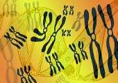 Chromosome 12 mutation linked to familial diarrhea