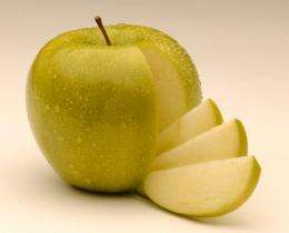 Company looking to market genetically modified apples runs into opposition
